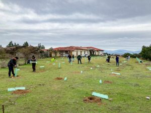 Estudiantes de Quirihue plantan 120 árboles nativos para contribuir a la restauración de Altos de Ninhue